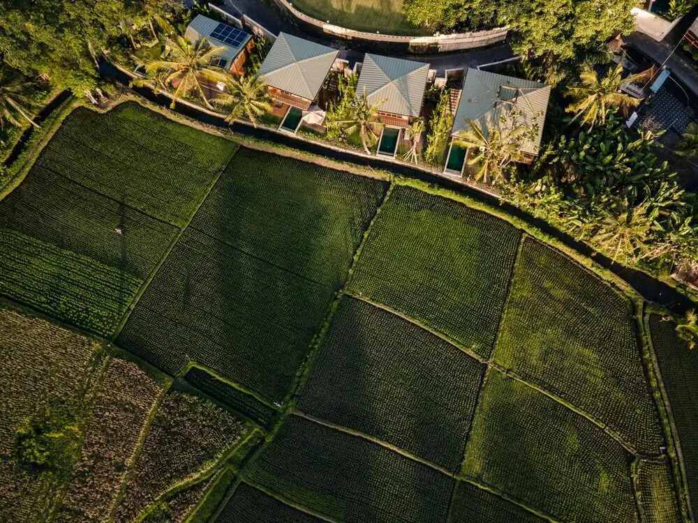 Grün Canggu