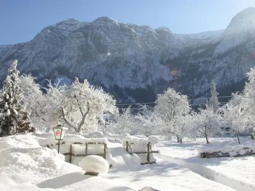 Dormio Gasthof Hollwirt