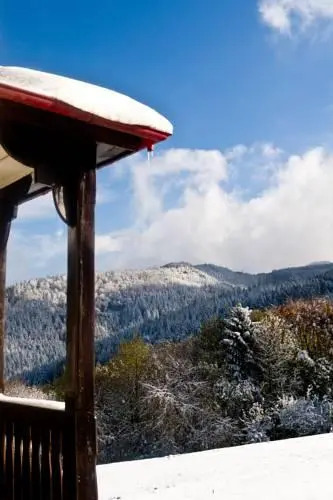Hotel Grüner Baum
