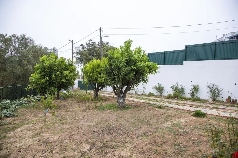 Filipe Village - Casa do Avô Zé