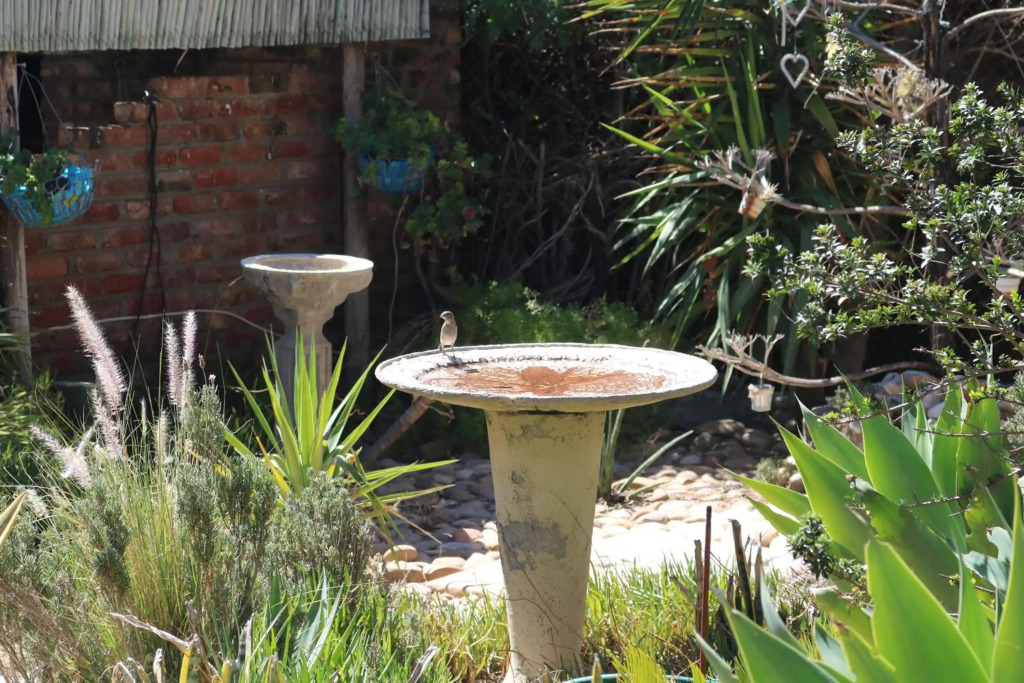 Grysbok Self Catering Accommodation