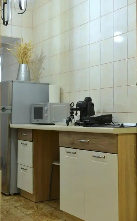 Apartament Central