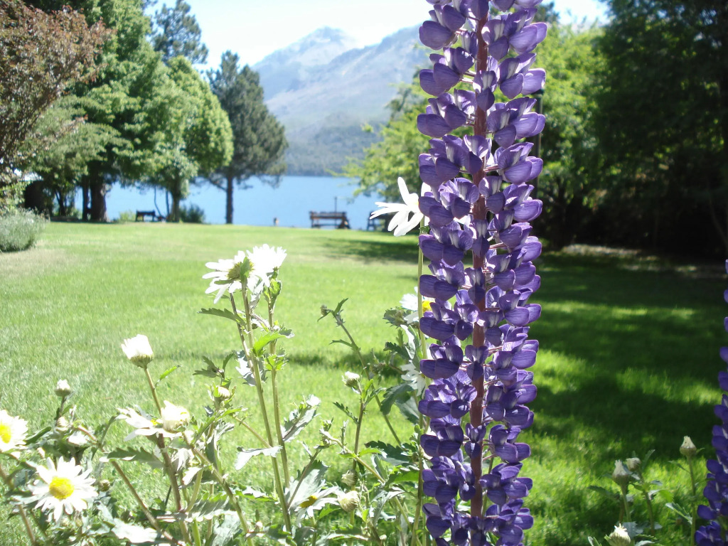 Lago Gutiérrez Lodge