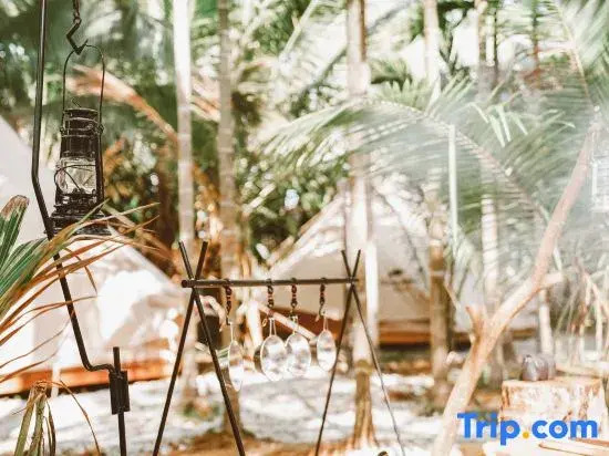 Yusheng Viva La Vida Glamping