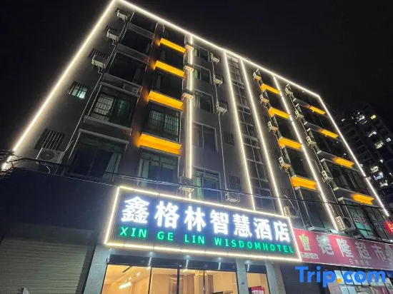 Xingelin Wisdom Hotel (Haikou Lin'an International Trade City)