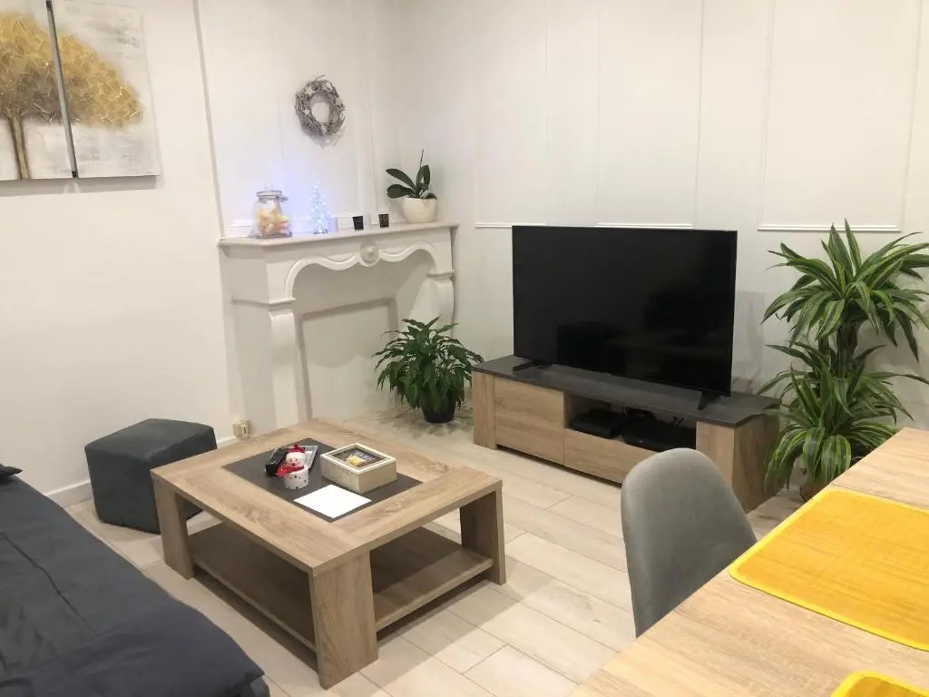 Charmant appartement T2 plein centre ville