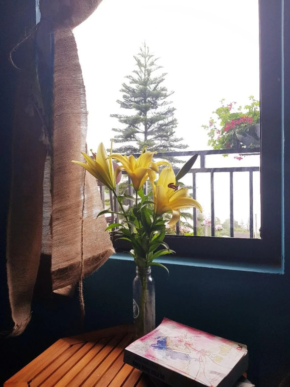 Gạo House & Coffee
