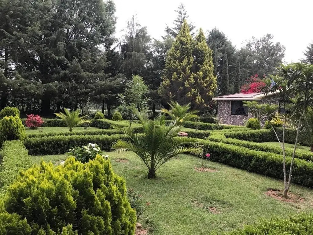 Refugio de los Angeles