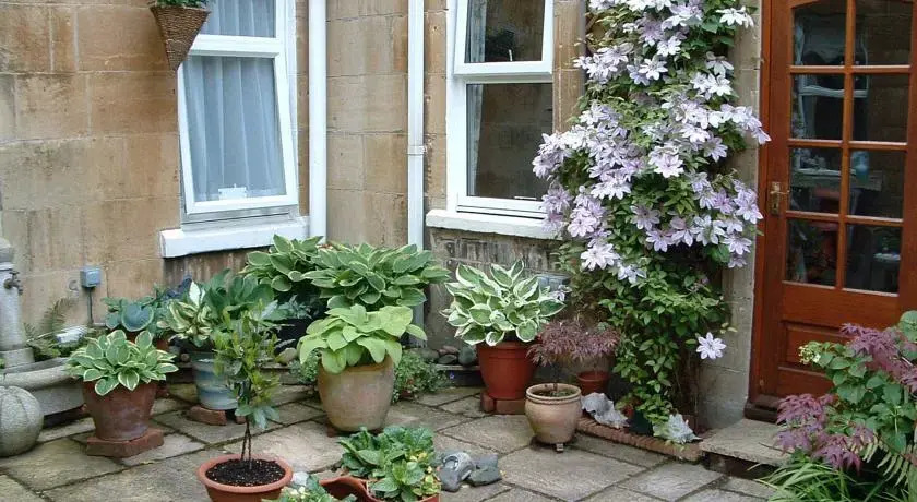 Radnor Guest House