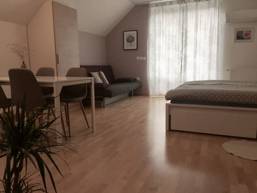 Apartment Muznik