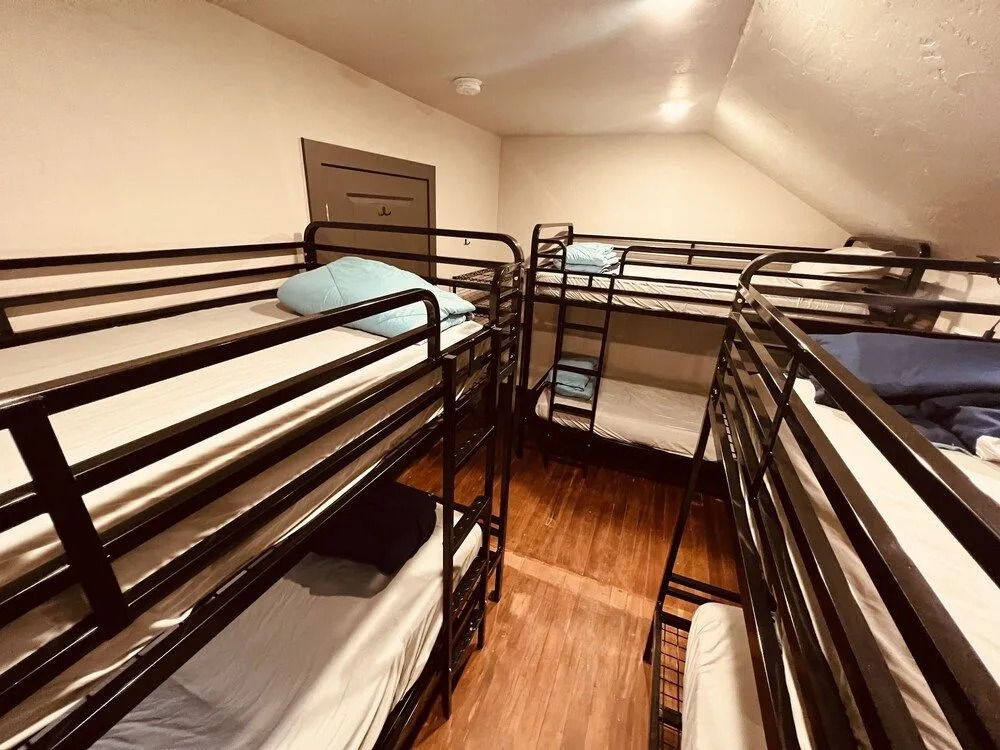 Treeline Hostel