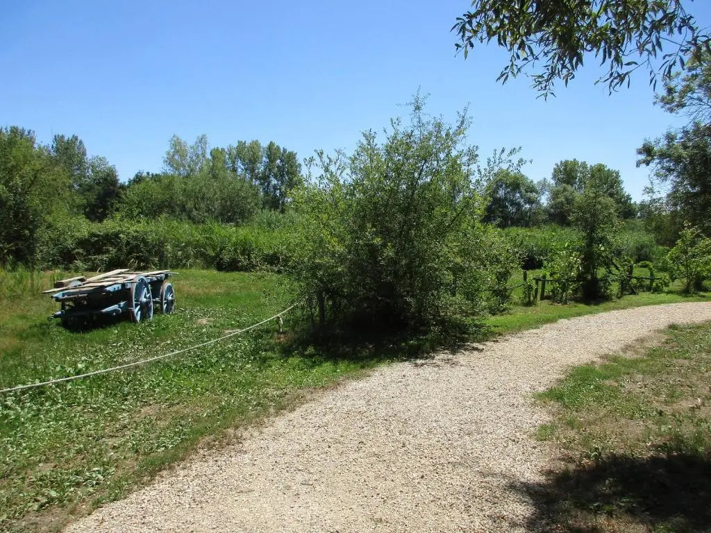 Espace Nature Studio indépendant proche du Parc des oiseaux