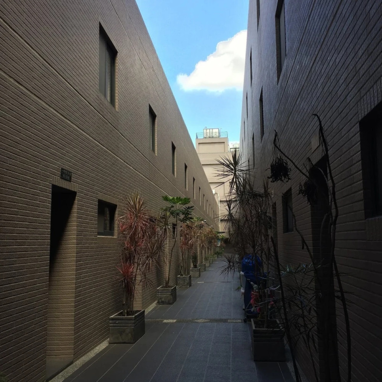 Meow Meow Hostel