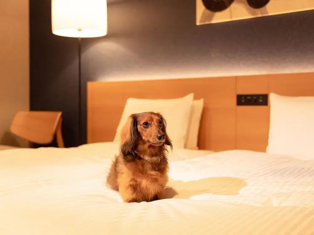 MIMARU SUITES Tokyo Asakusa