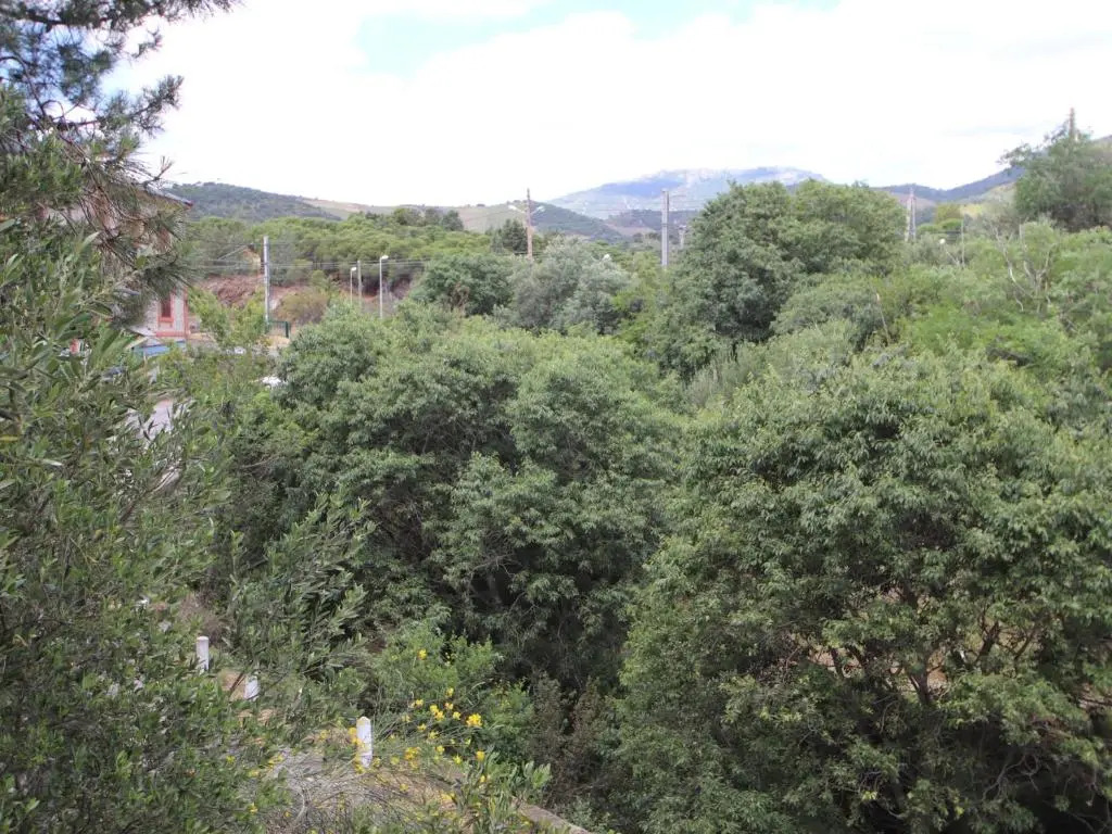 Appartement Banyuls-sur-Mer, 1 pièce, 4 personnes - FR-1-309-171