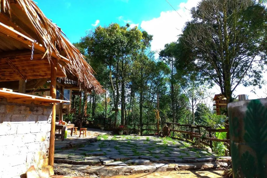 Sapa Jungle Homestay