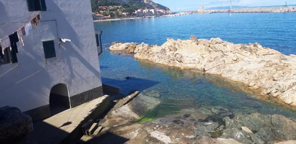 Cotone bilocale 2019