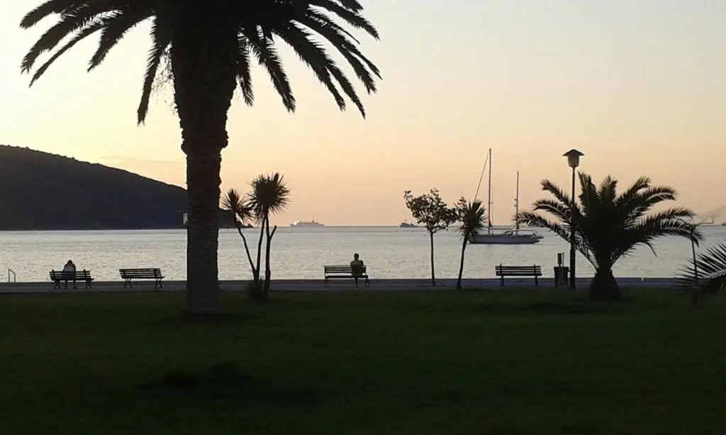 Sea to See