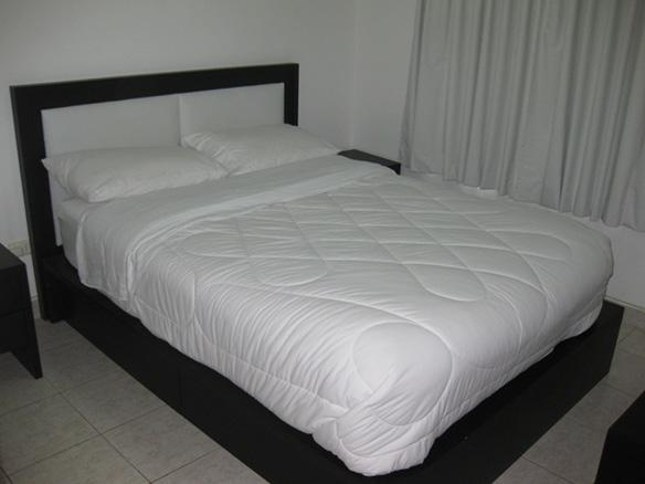 Apartments Executive Flats
