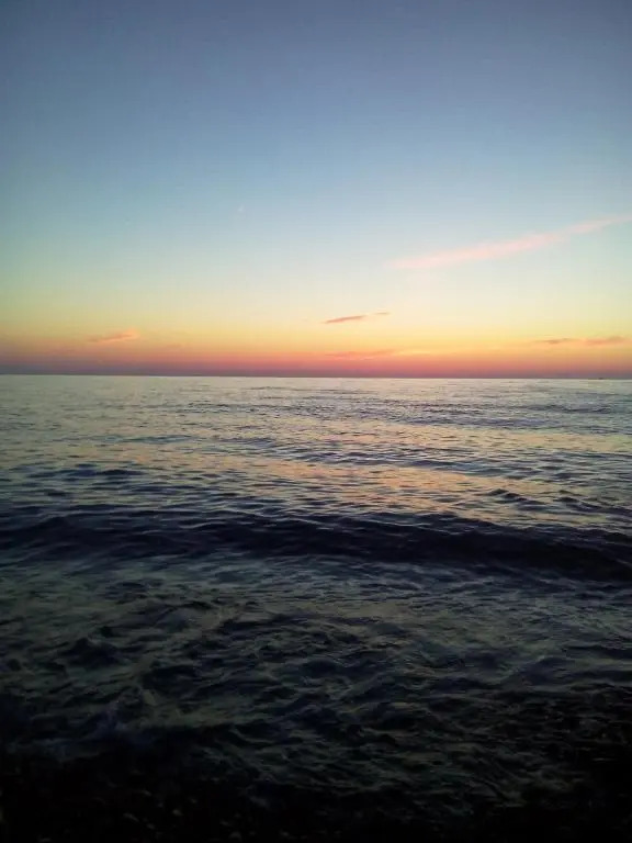 Inasaridze, 2-room flat, beach
