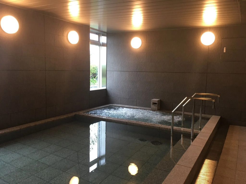 Nihon Seinenkan Hotel