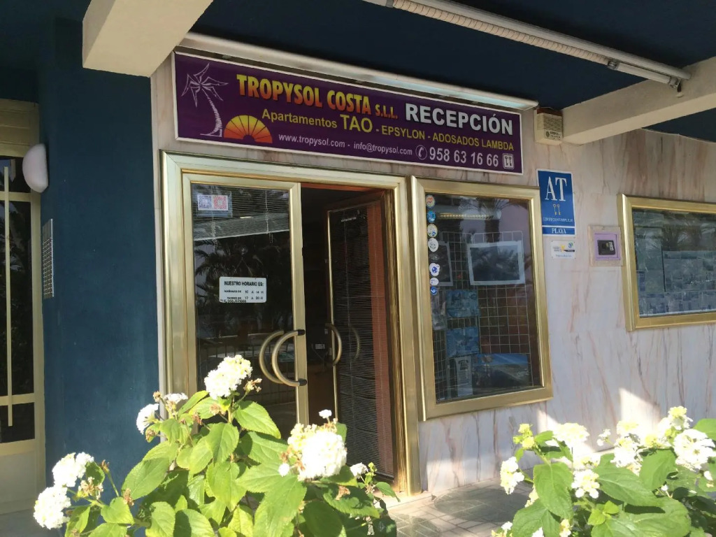 Apartamentos Tao