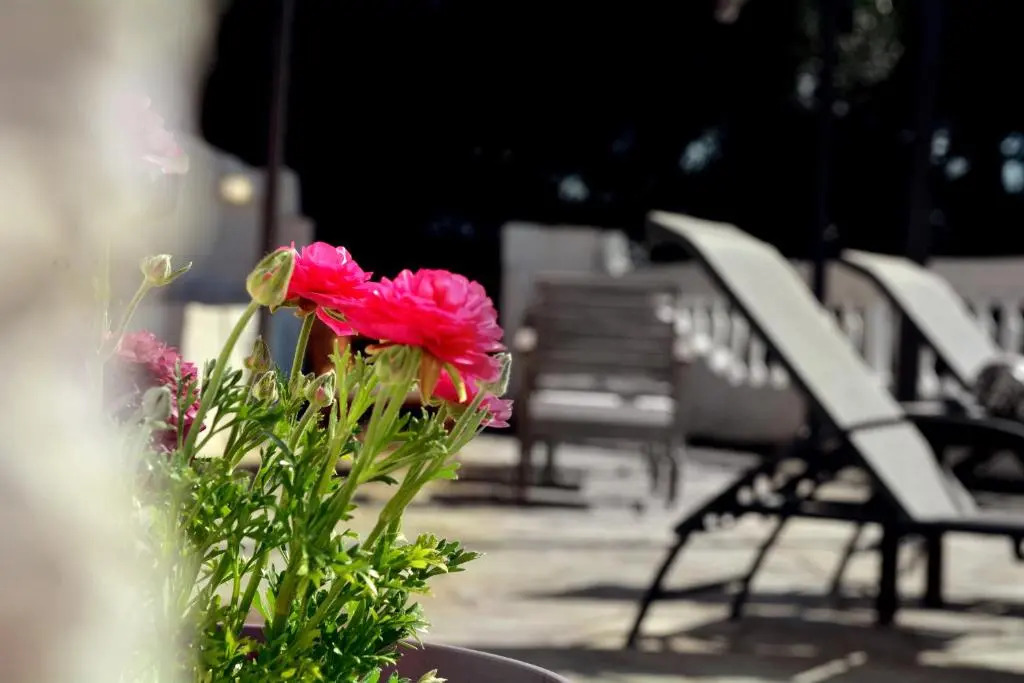Nota apt 'vacation near the sea' 2