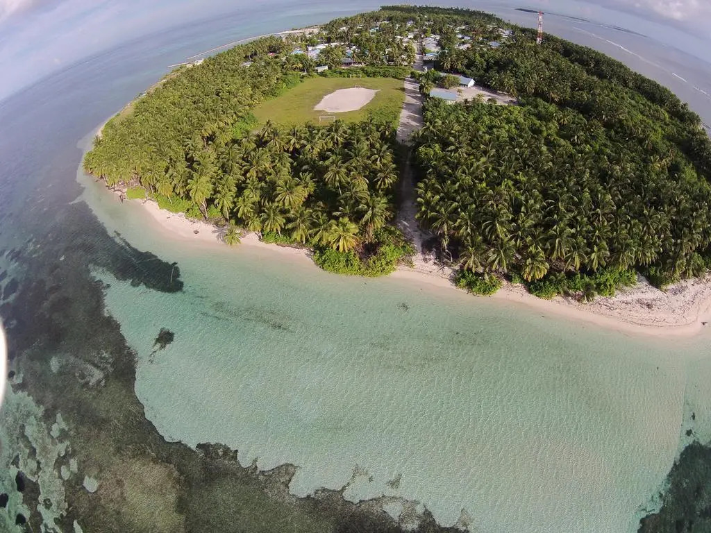 Pearl Beach View