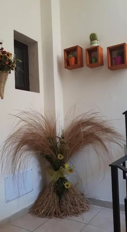 B&B La Cornucopia