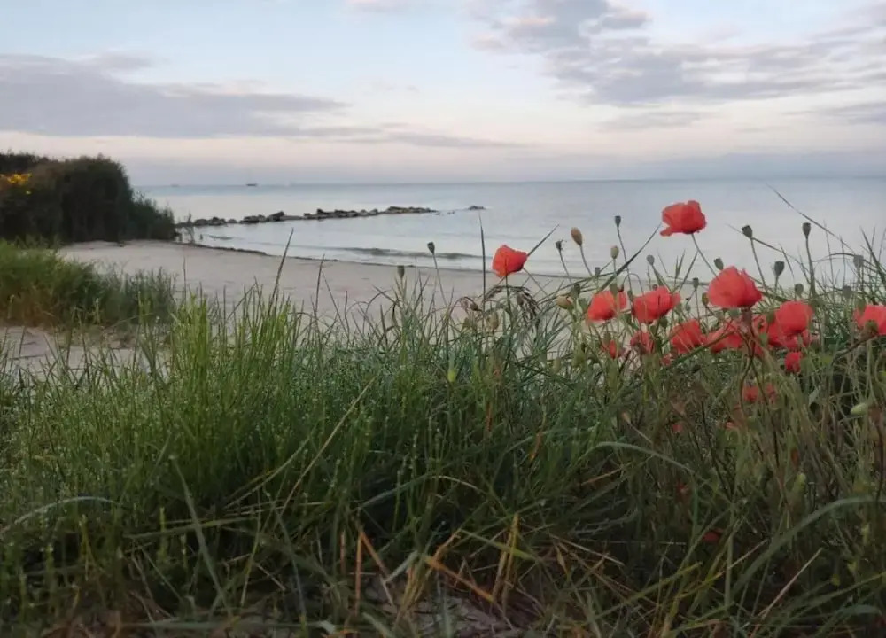 Sunny Apartment Directly on the Heegermeer