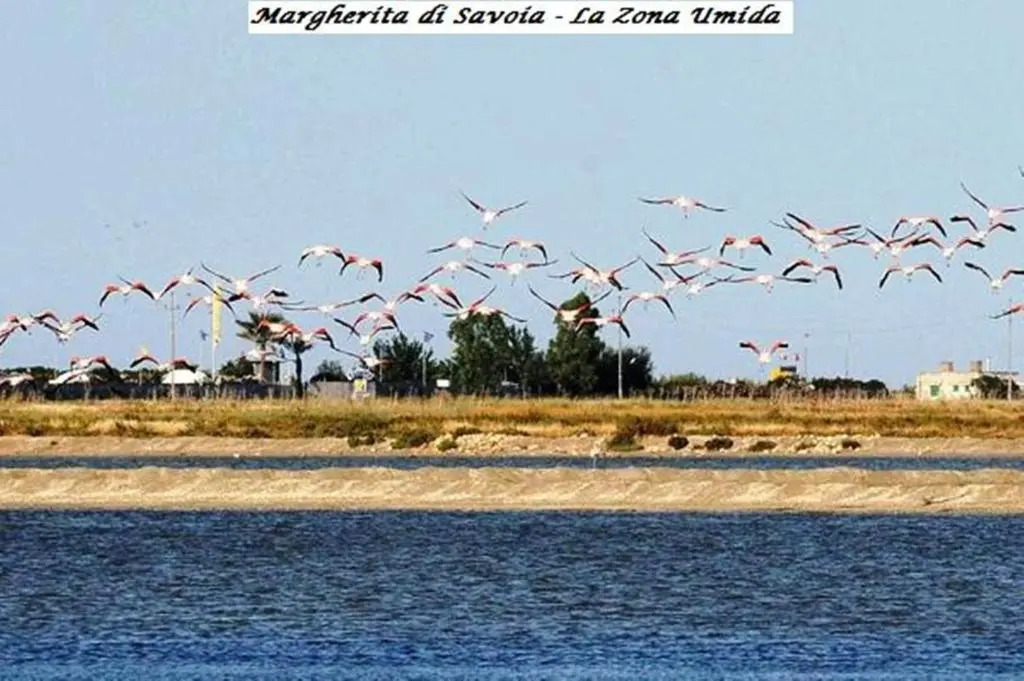 Hotel Tenuta San Francesco