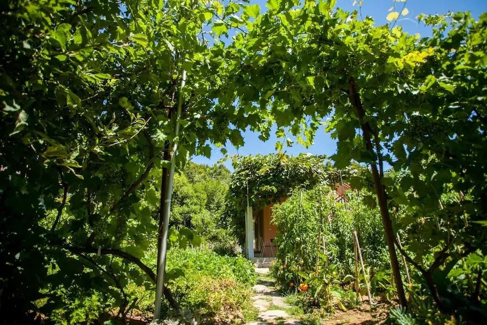 House with large garden right next to the river