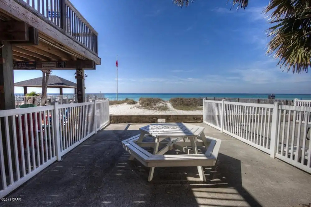 Sunbird Paradise - 1383972