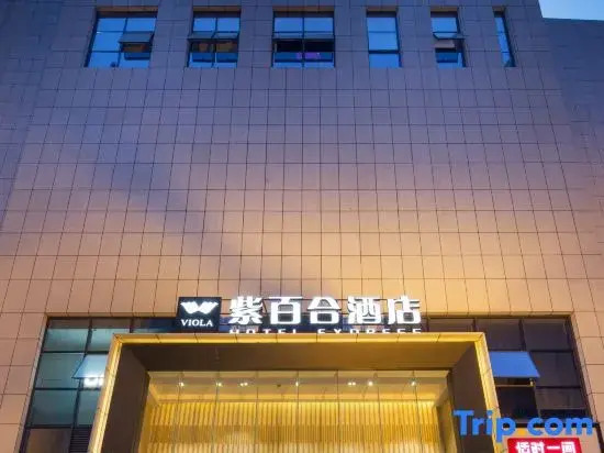 Viola Hotel Express