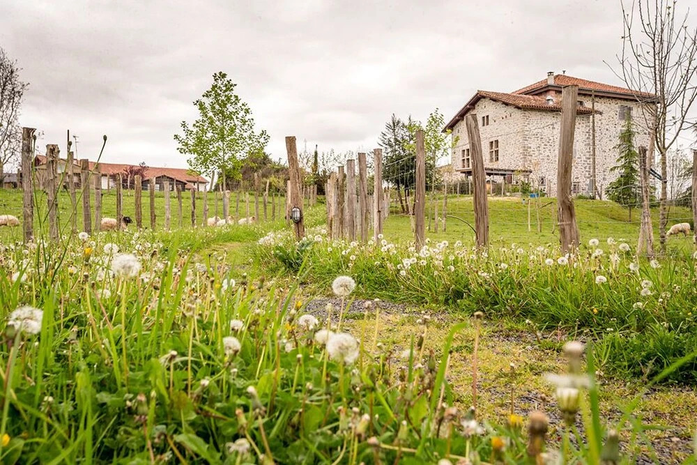 Les Fous du Village