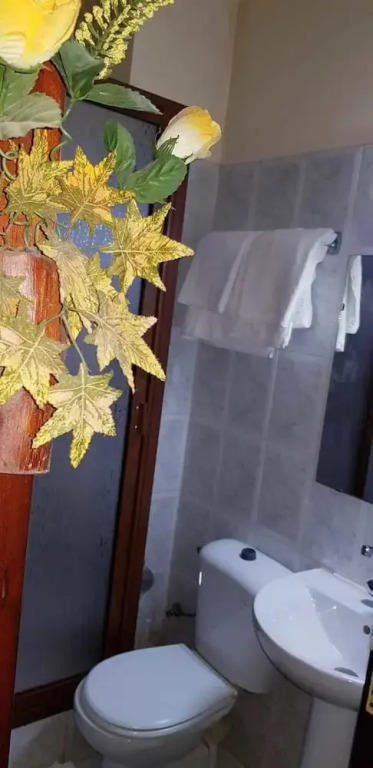 Appartement Samtonio