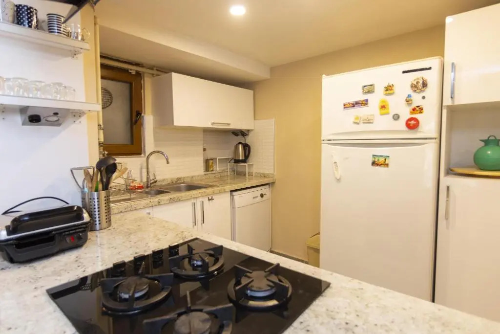 1 Br Designed House with Garden Near Ramada Osmanbey Metro
