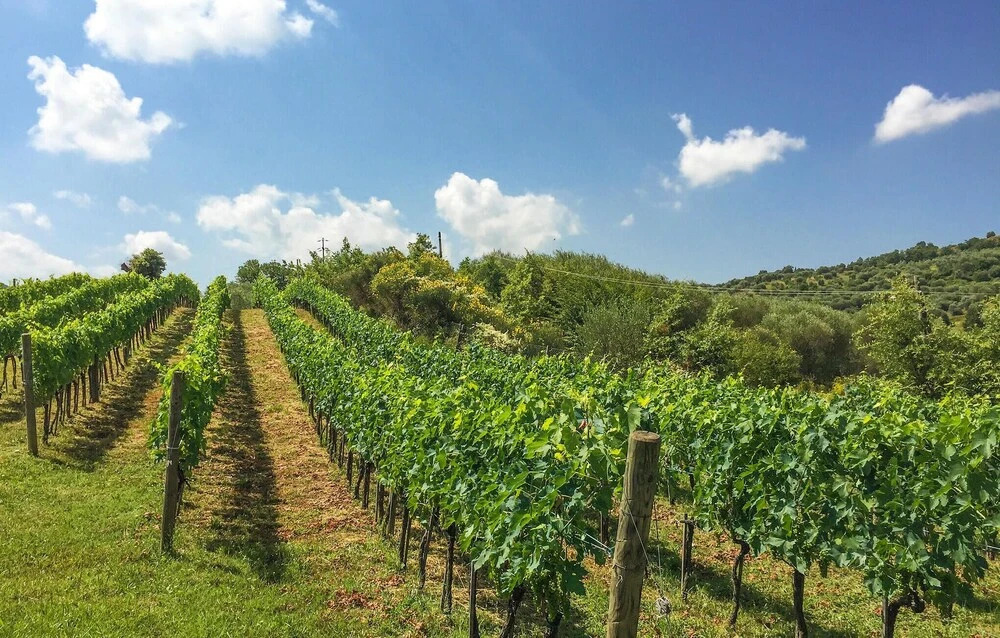1 Bedroom Cozy Home In Montegiovi