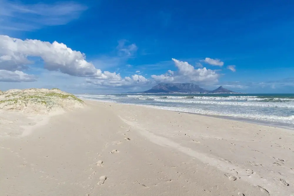 Dolphin Beach E35
