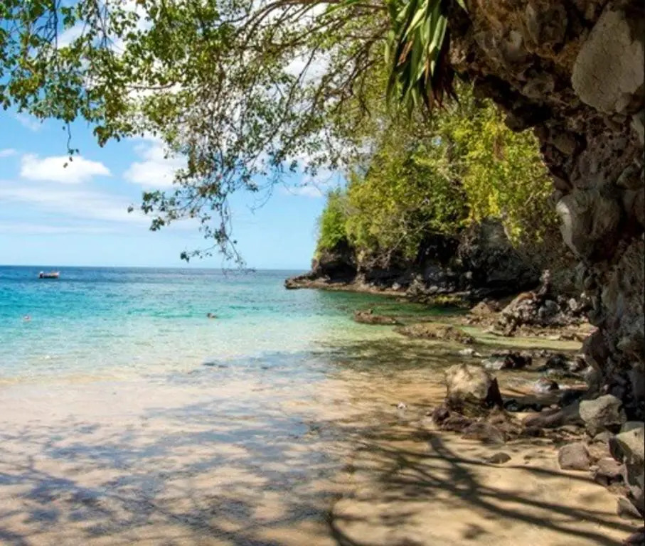 Bungalow d'une chambre avec jardin clos et wifi a Fort de France