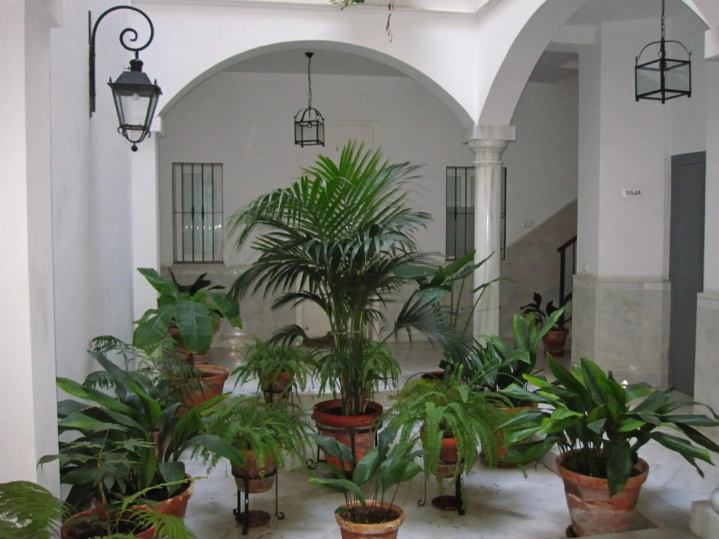 APARTAMENTO EN CENTRO HISTÓRICO con PARKING GRATIS