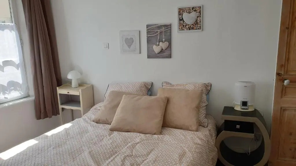 Vue dici