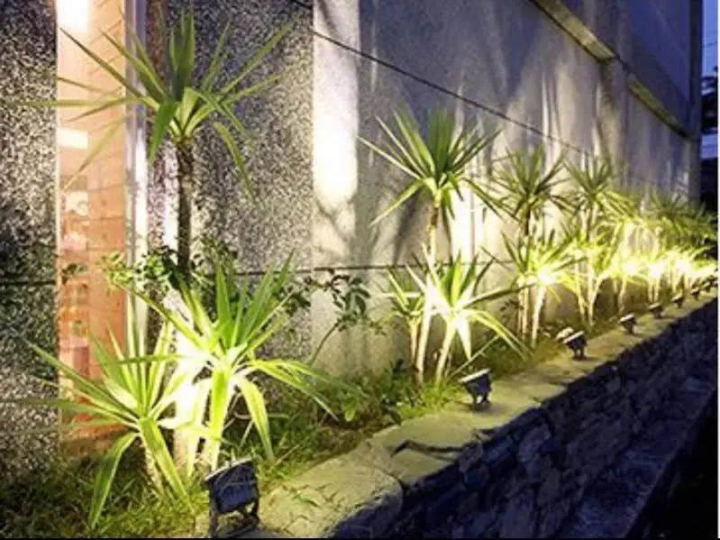 Cocotree Homestay