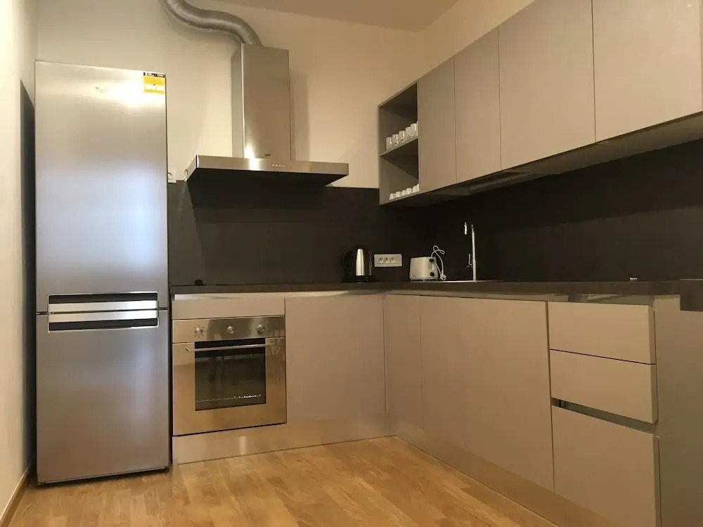 Loft spacious apartments in Prague