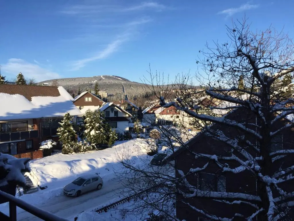 Hexe I - mit Blick auf den Wurmberg