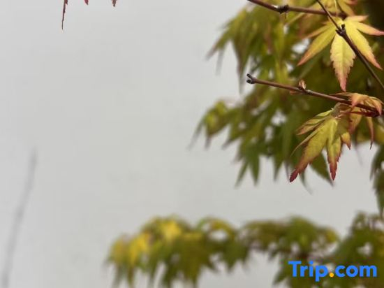 Lijiang · Manting Jiuxi Villa Leisure Vacation Homestay (Gucheng District)
