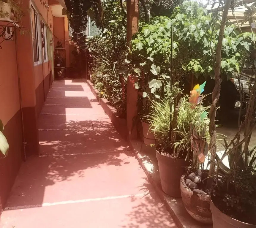 Depa 1 habitación equipado coyoacan