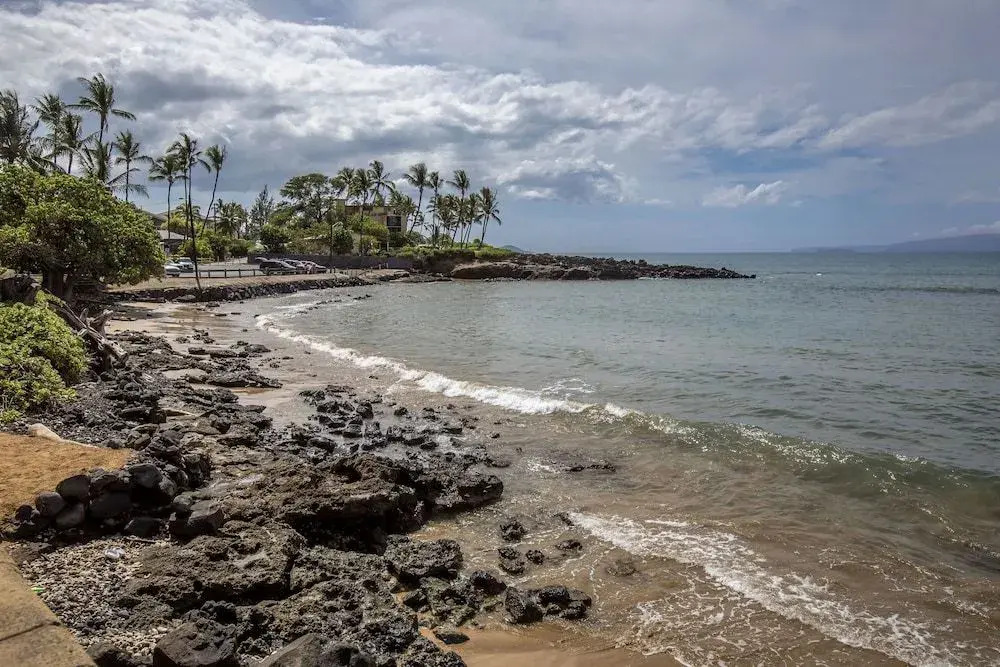 Shores of Maui #124