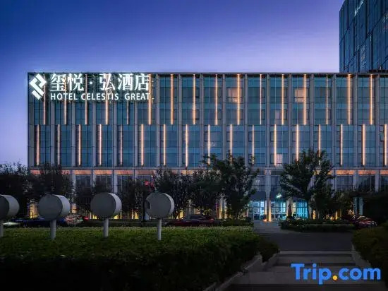 HOTEL CELESTIS GREAT(Nanjing South Railway Station)