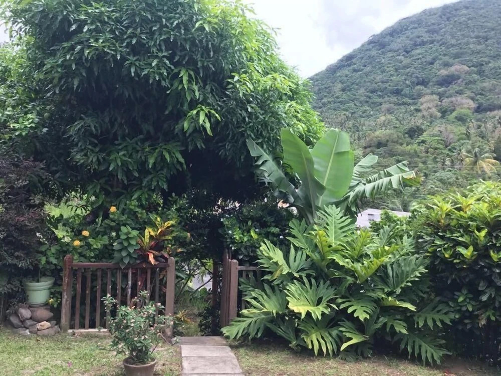Cocoa  Pod Studio